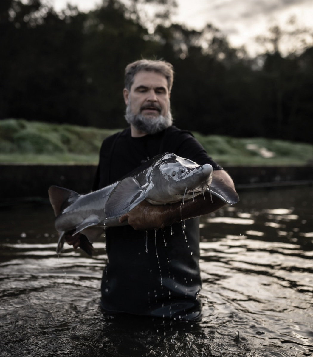 Laurent DULAU